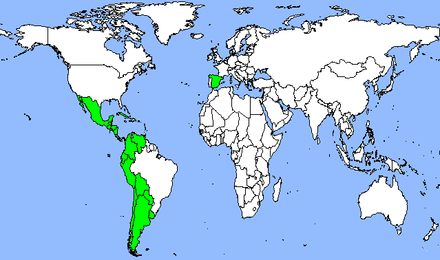 Spanish-Speaking Countries